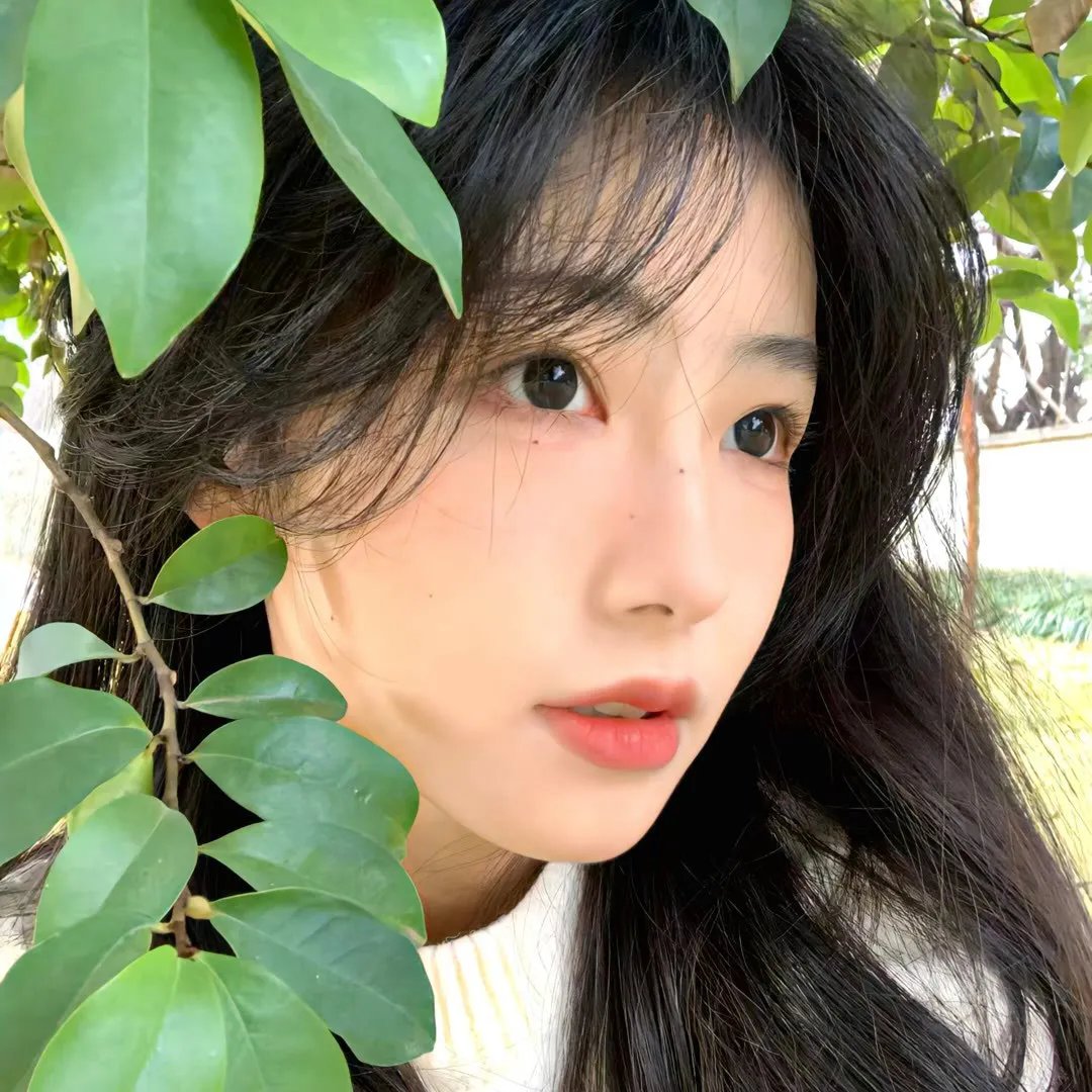 天堂岛疑云第十二季
